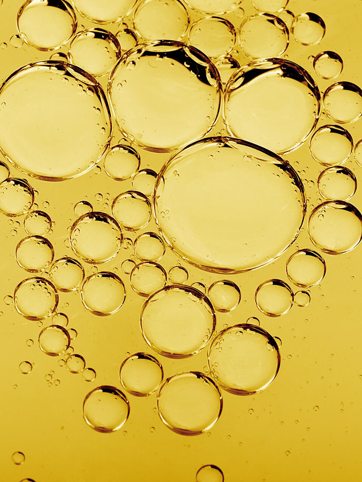 Oil