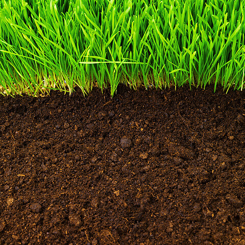 Soil profile