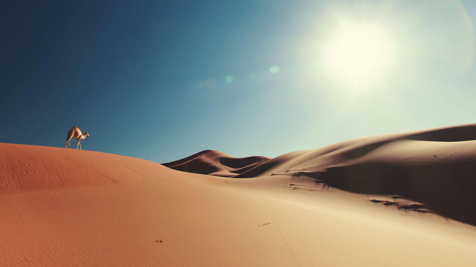 Desert