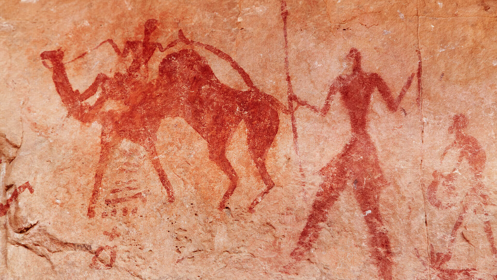 Stable isotope analysis in archaeology