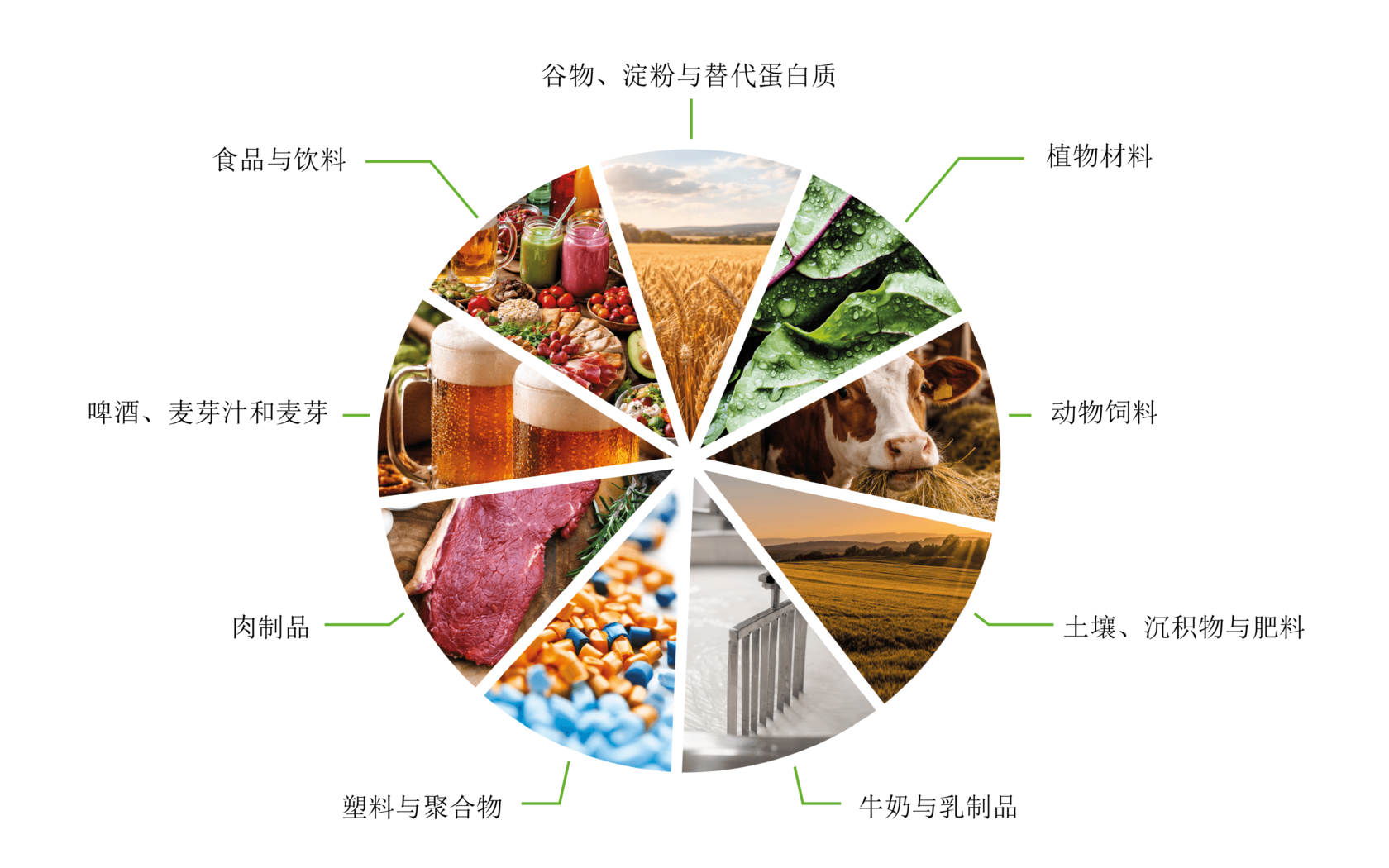 可使用 exceed PLUS 系列分析仪分析的典型样品类型