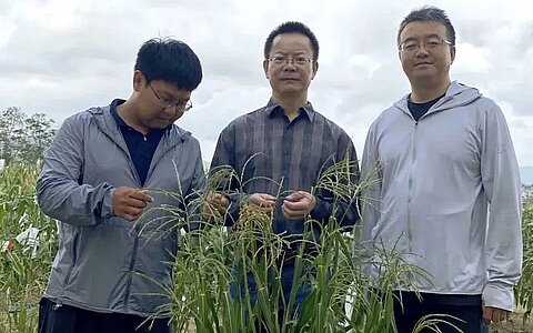 Prof Wu Yongrui and his team