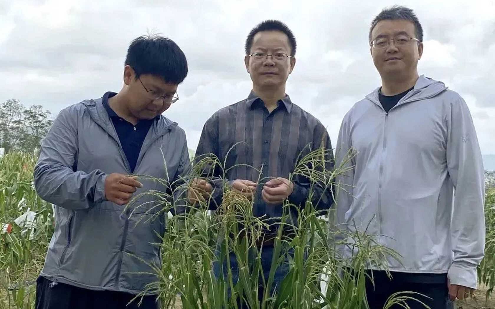 Prof Wu Yongrui and his team
