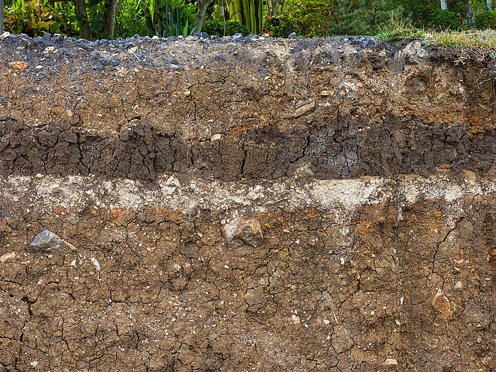 Soil profile