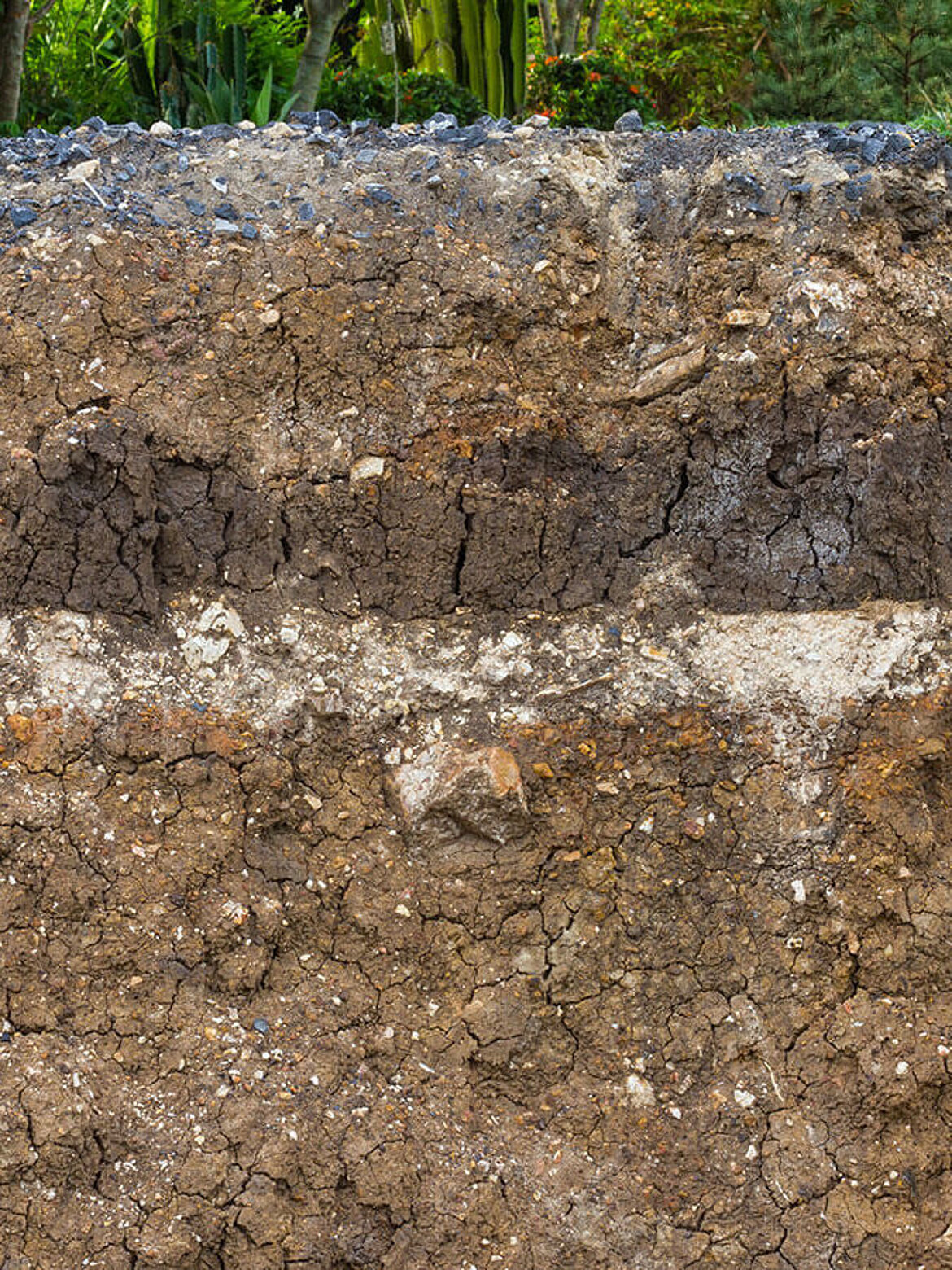 Soil profile