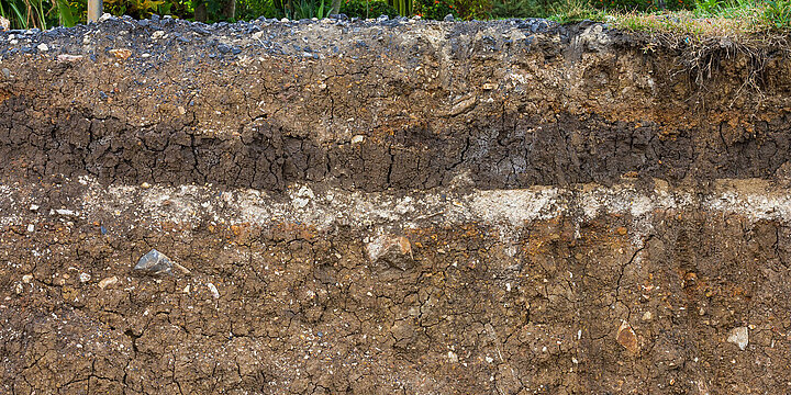 Soil profile