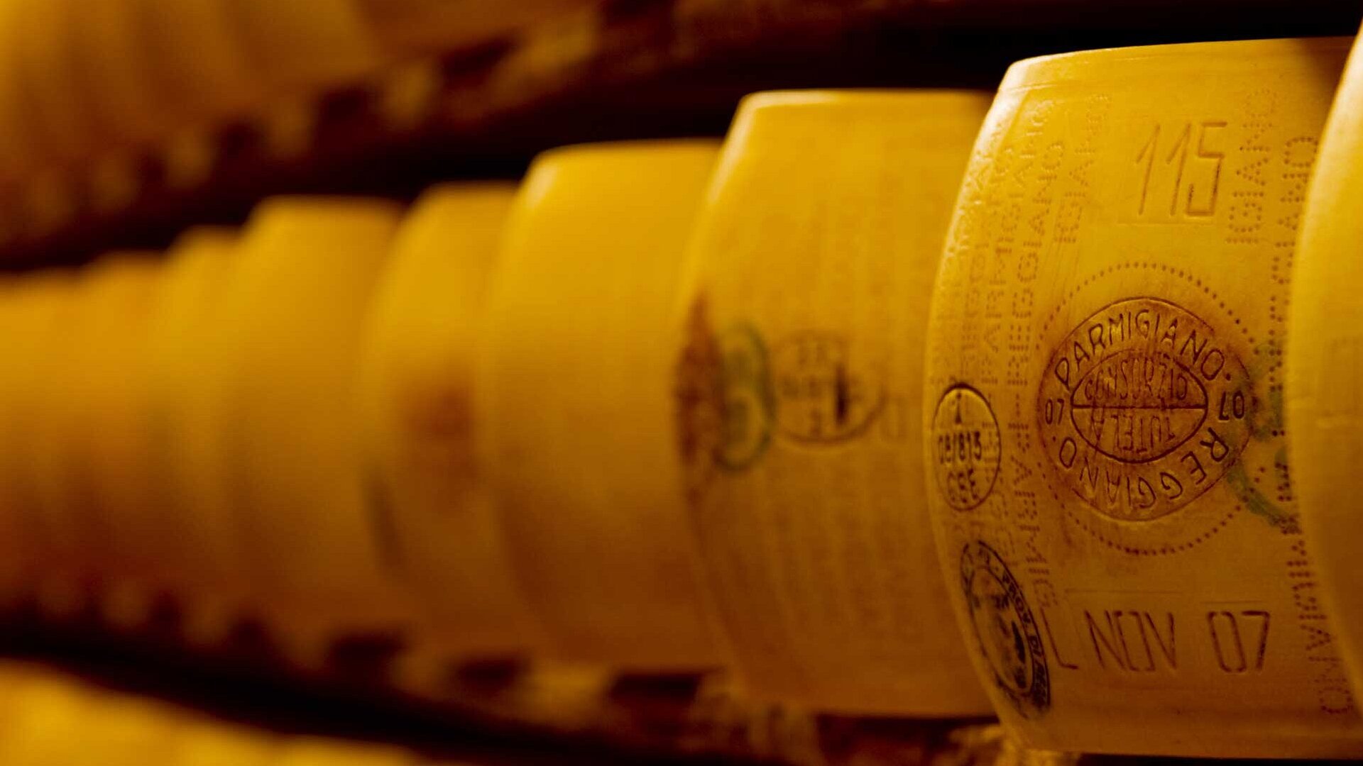Parmesan cheese on aging shelves