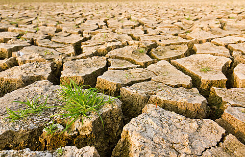Climate research soil