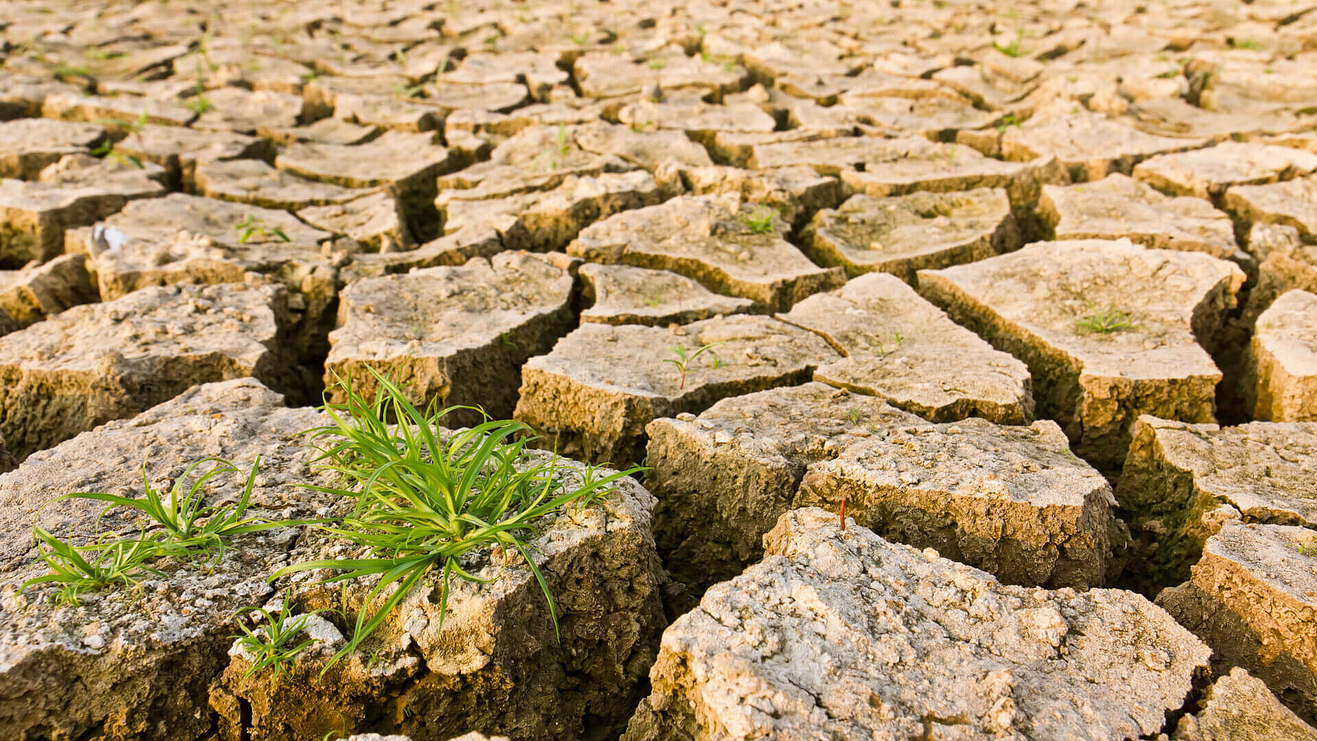 Climate research soil