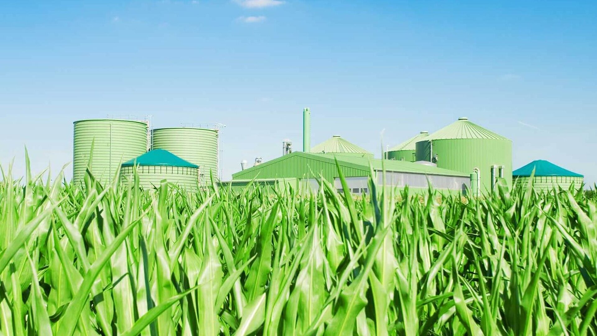 Biomass plant