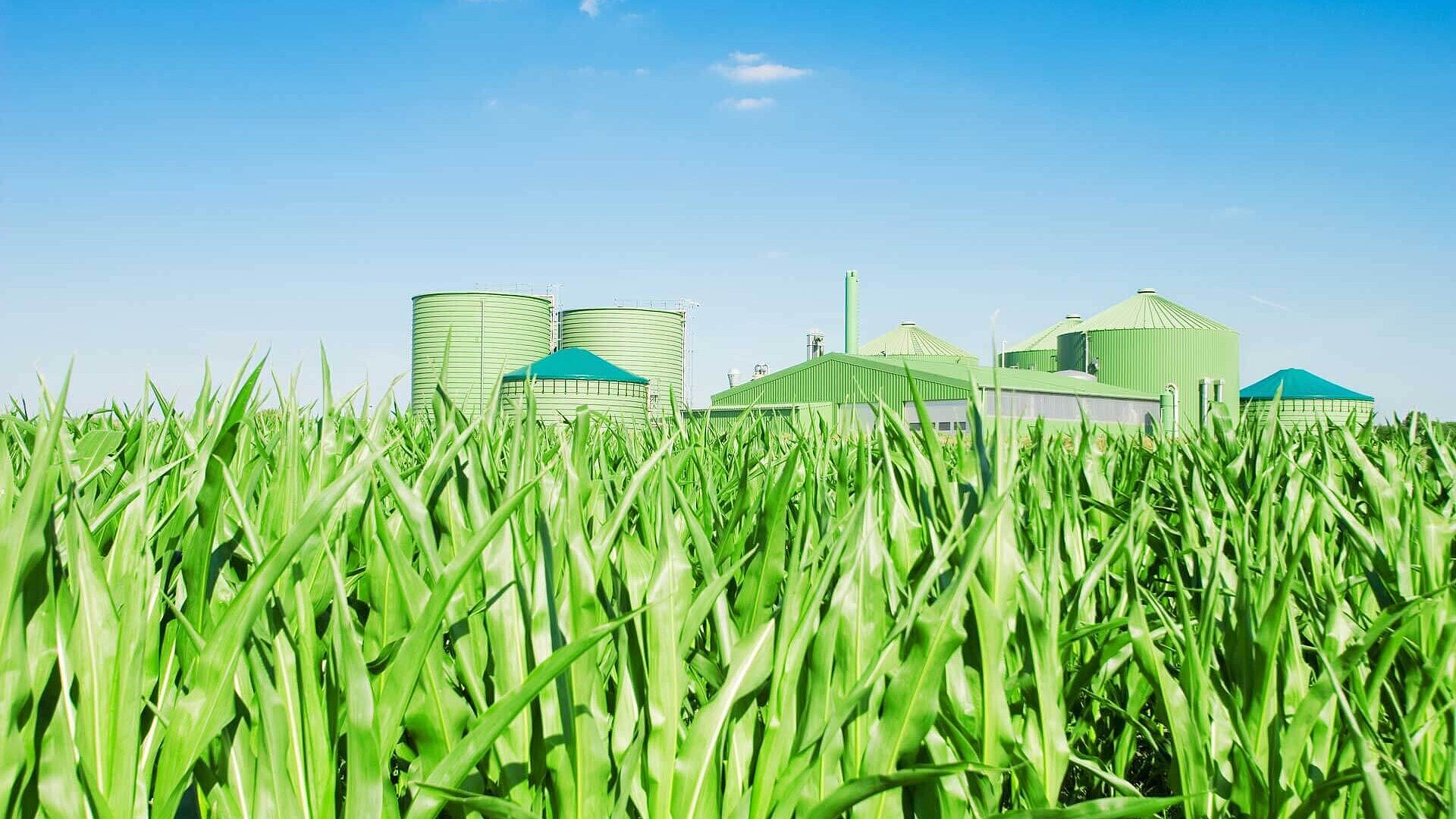 Biomass plant