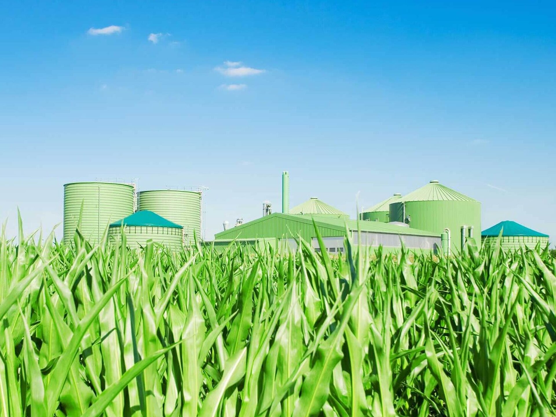 Biomass plant