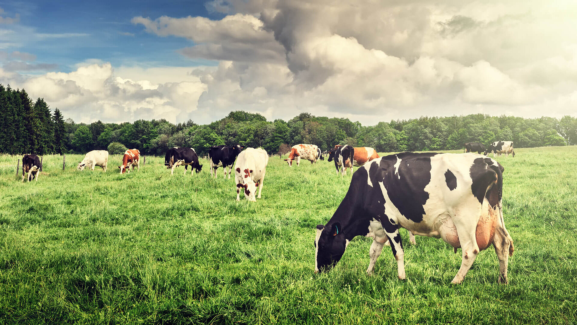 Climate research GHG