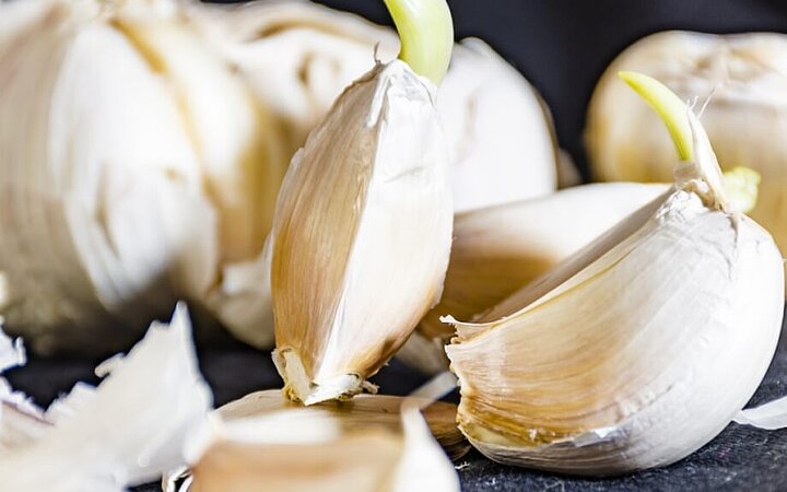 稳定同位素比质谱仪