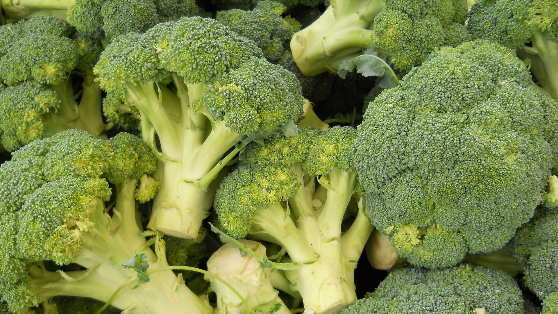 Broccoli