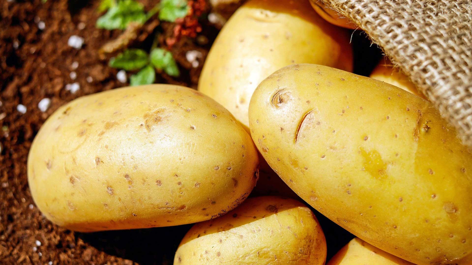 Potatoes