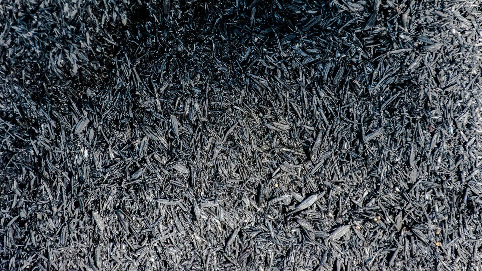Biochar